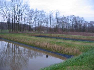 Bild 0: Teichklranlage Morgenitz