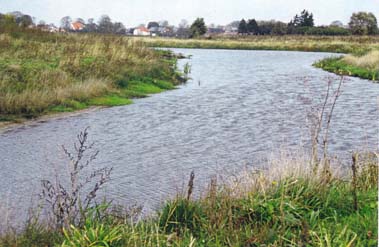 Bild 4: Mühlenweg Greifswald