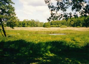 Bild 3: Müllerwiesen Gützkow